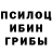 Галлюциногенные грибы мухоморы terinka ross