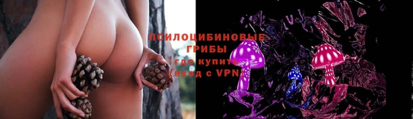 мдпв Белокуриха