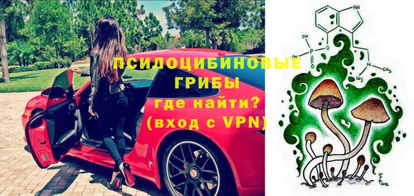 спиды Богданович