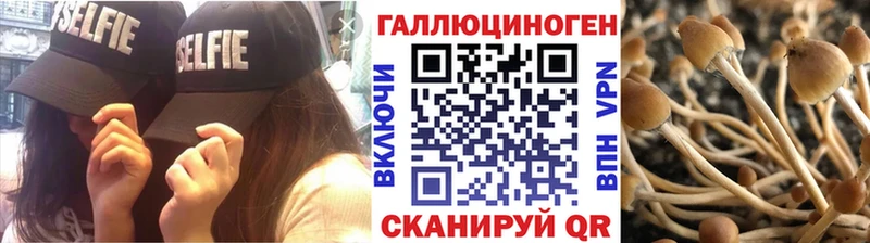 Псилоцибиновые грибы мицелий  купить наркотики цена  даркнет телеграм  Борзя 